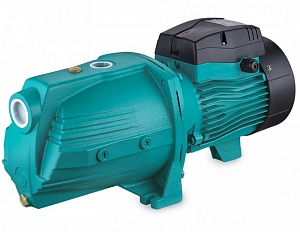 Насос LEO XJm 100L 