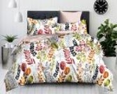 КПБ Cleo Поплин Сем "Pure Cotton" 