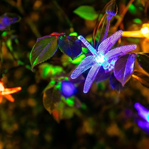 Гирлянда садовая USL-S-123/PT4000 Dragonflies 05302
