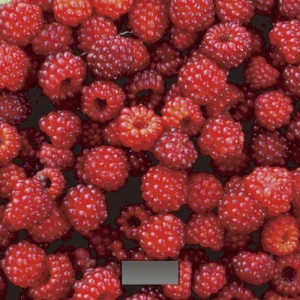 Весы кухонные Добрыня DO-3015А 