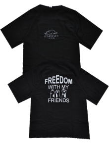 Джемпер дев. (футболка) 505-22 р.42/164 (ЧЗ)