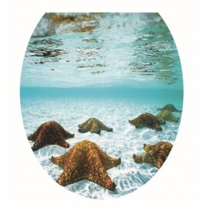 Сиденье для унитаза Мягкое "Цветное"