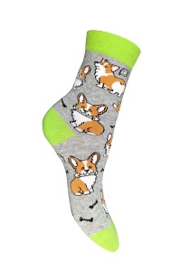 Носки детские уни. х/б+эл с1624 1/10 р.22-24 снят (ЧЗ)