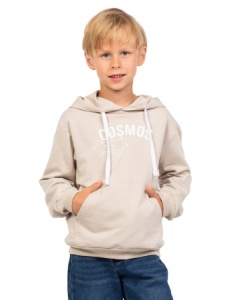 Толстовка (худи) детская BT 387-004 рост 110 (ЧЗ)