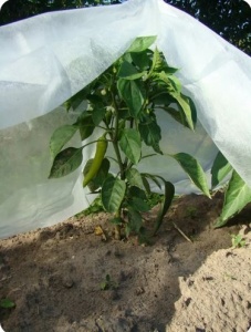 Укрывной материал Агротекс 42 3,2*10м (фас) (10)