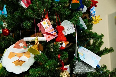 Амурснабсбыт присоединился к акции  Елка желаний